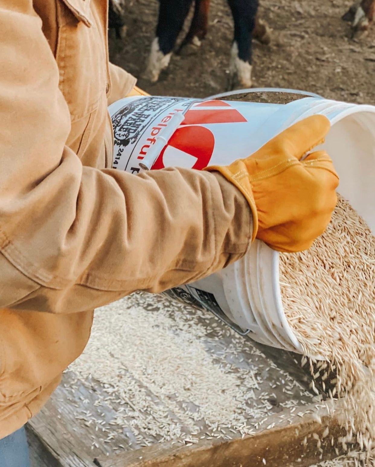 Iron Fencer Work Glove 207 Cowhide Leather Golden Stag Gloves for work utiltiy gloves men's work gloves rancher farmer