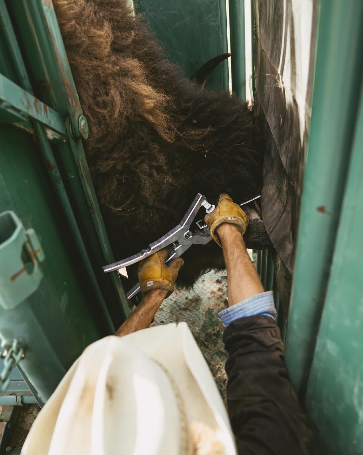 work gloves men women working gloves barbed wire fencer rancher construction gloves