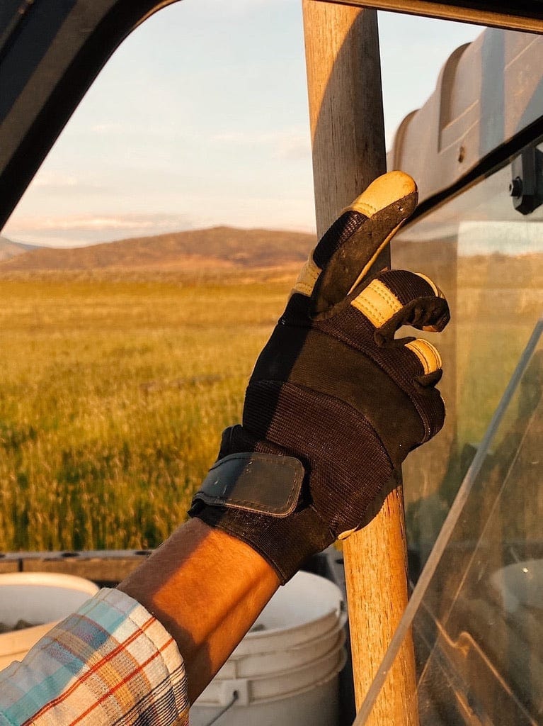 Close-up of Golden Stag 2150 all-purpose deerskin gloves showcasing breathable stretch knit back and reinforced neoprene knuckle guard for added protection