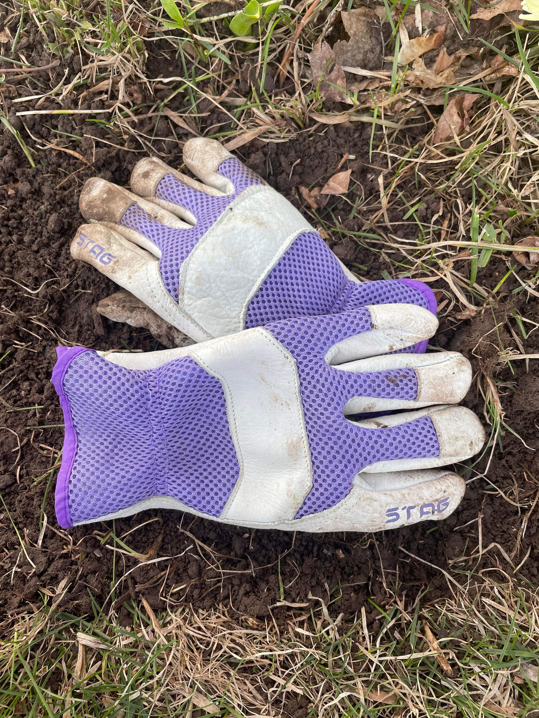 Top 5 Women's Work Gloves for Gardening 2023 Golden Stag Gloves