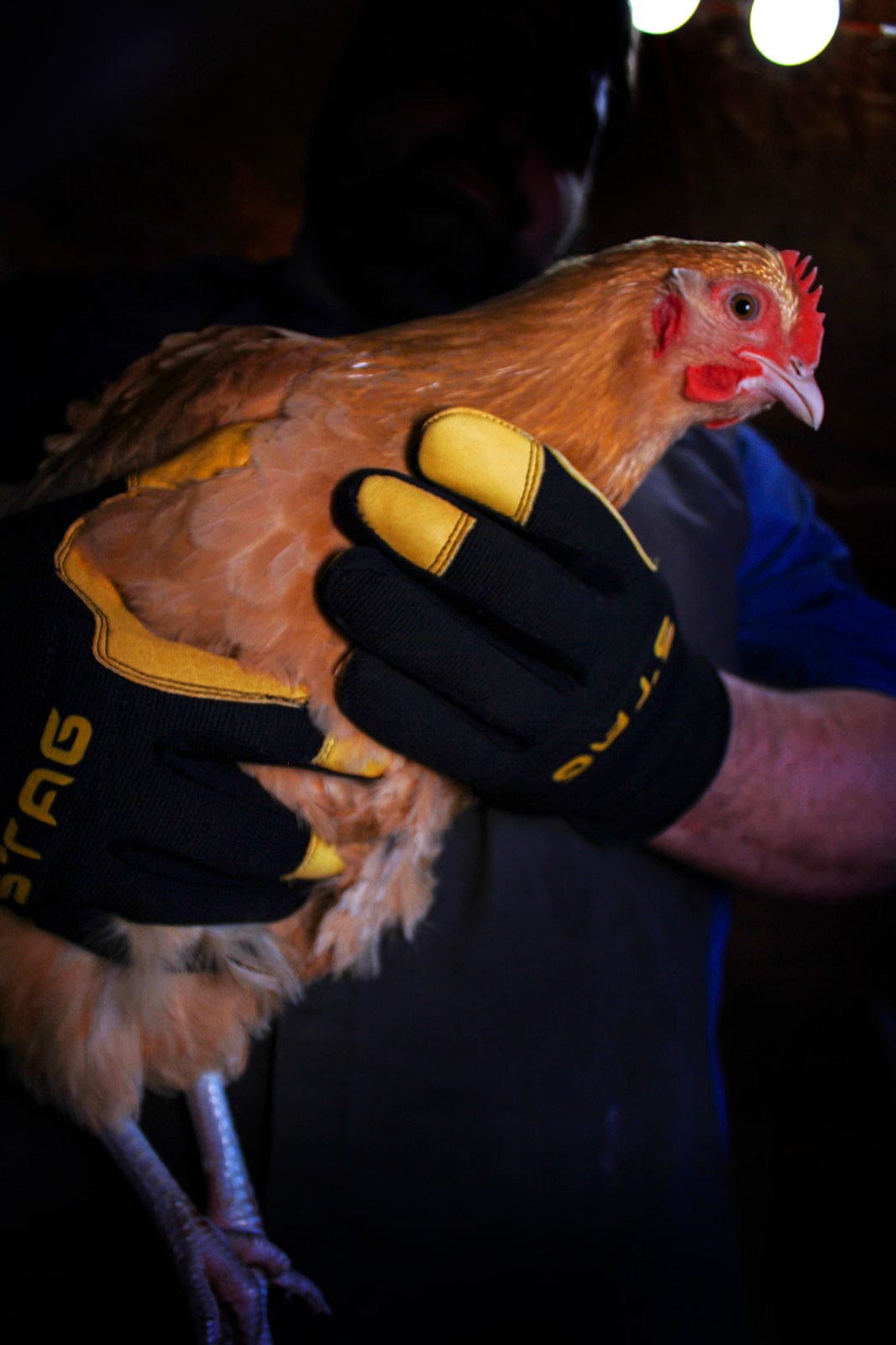 Buffalo Leather Work Gloves 67 Golden Stag Gloves