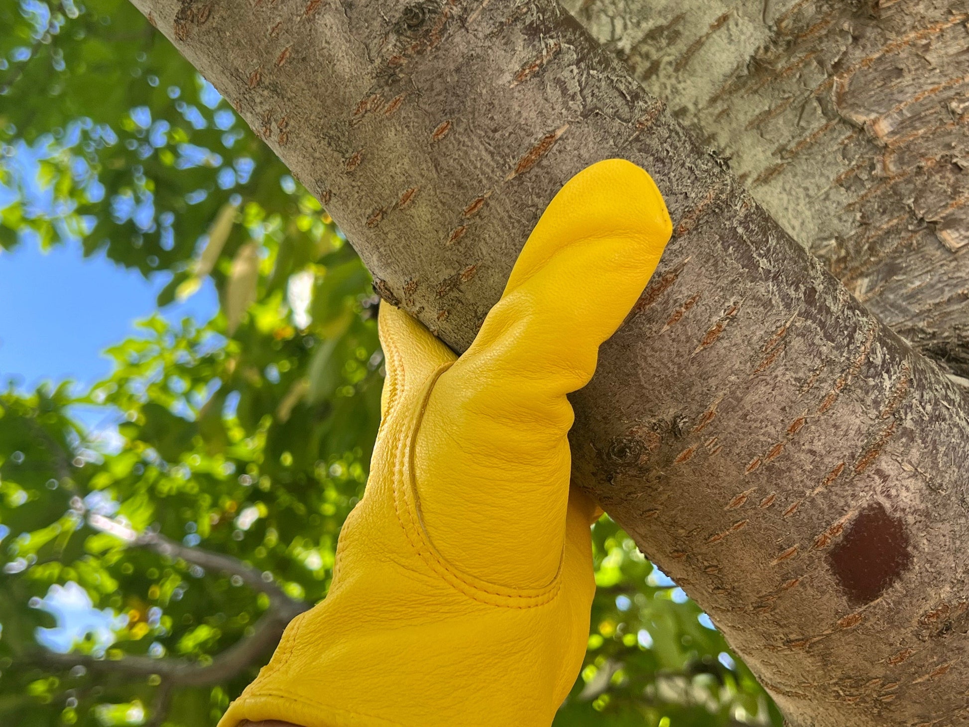 men's leather gardening gloves Men's Leather Driving Gloves 805 Elkskin Leather
