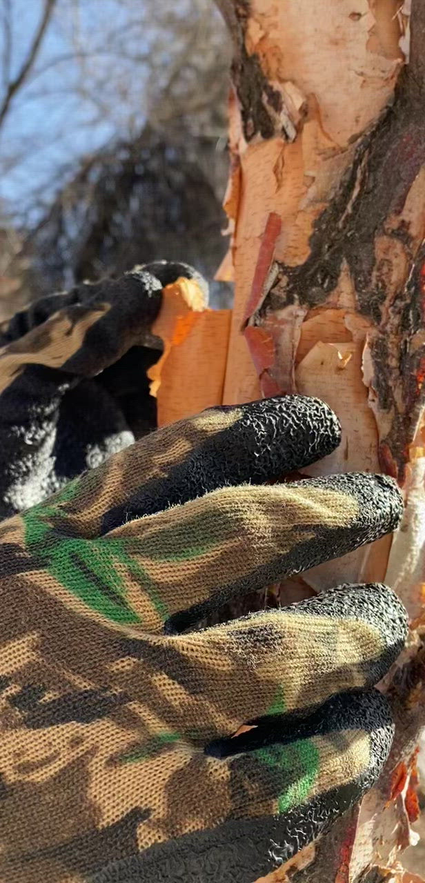 Video Camo Glove Peeling Tree Bark 